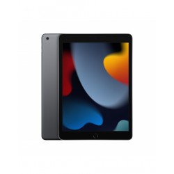10.2-inch iPad Wi-Fi 256GB - Grigio Siderale (9th generazione)